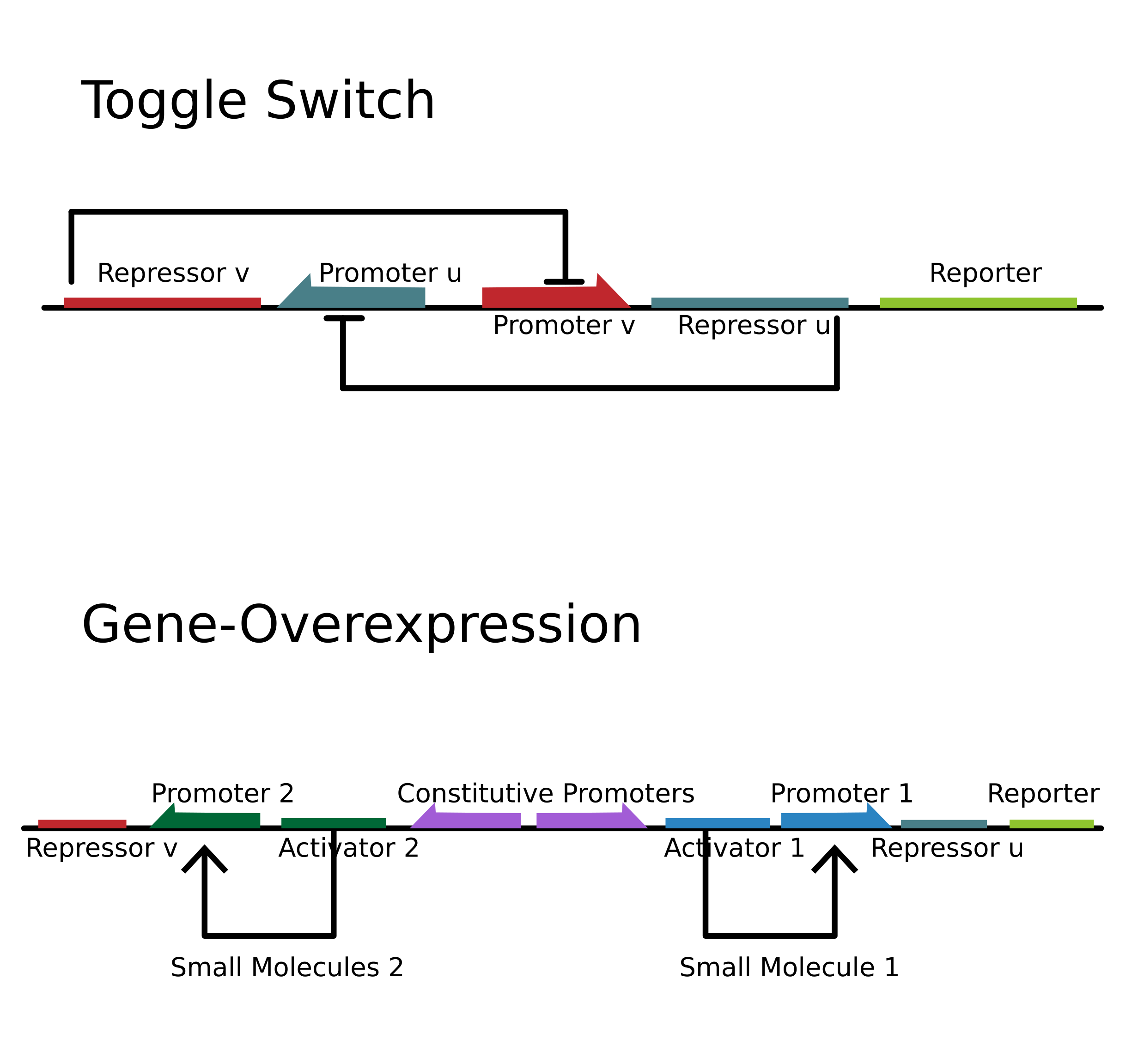 Toggle Switch Simulator